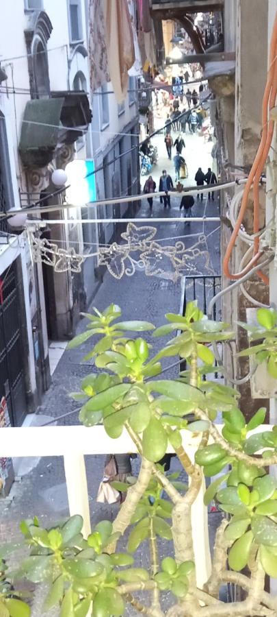 Casa San Biagio 1964 Spaccanapoli 아파트 외부 사진